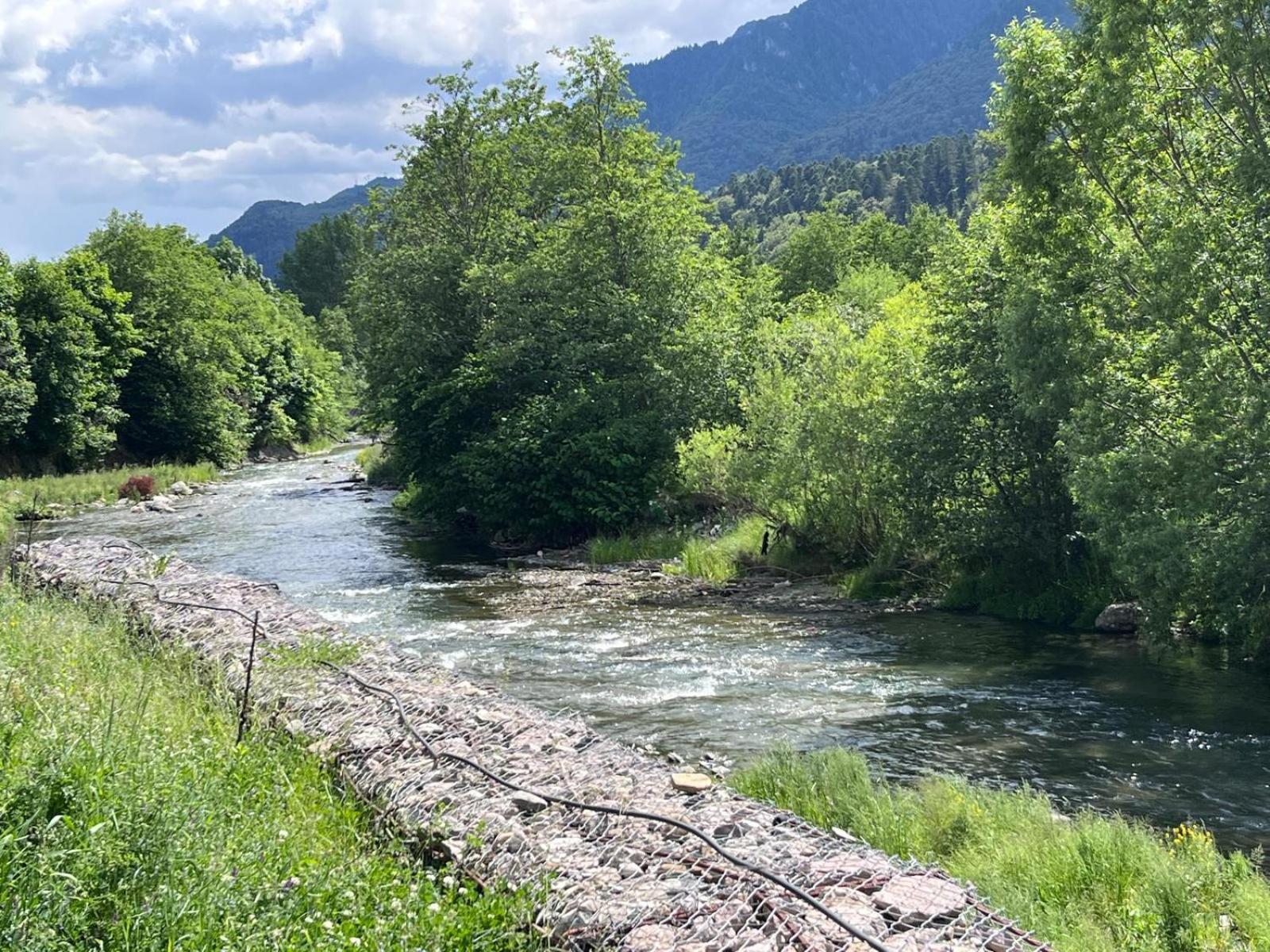 Cozy Riverfront Apartments With Garden And Mountain View Buşteni Εξωτερικό φωτογραφία
